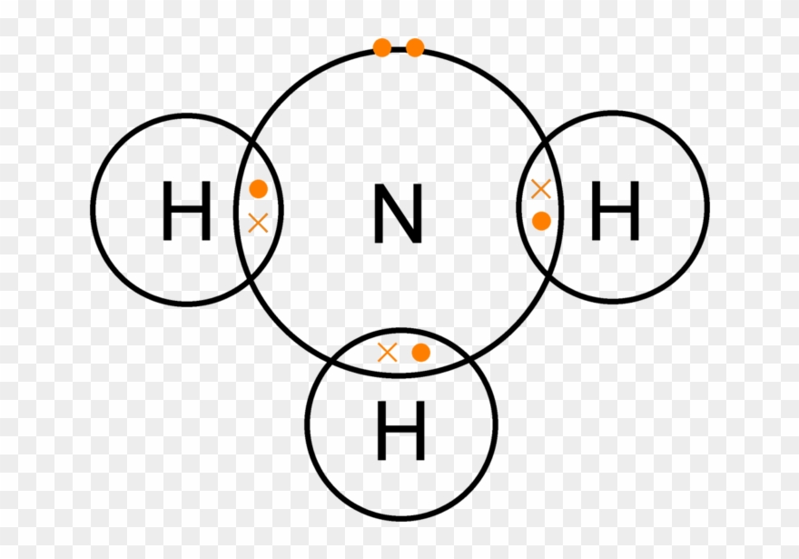 Ammonia Nitrate Nitrite About The Nitrifying Bacteria - Nh2 Dot And Cross Clipart