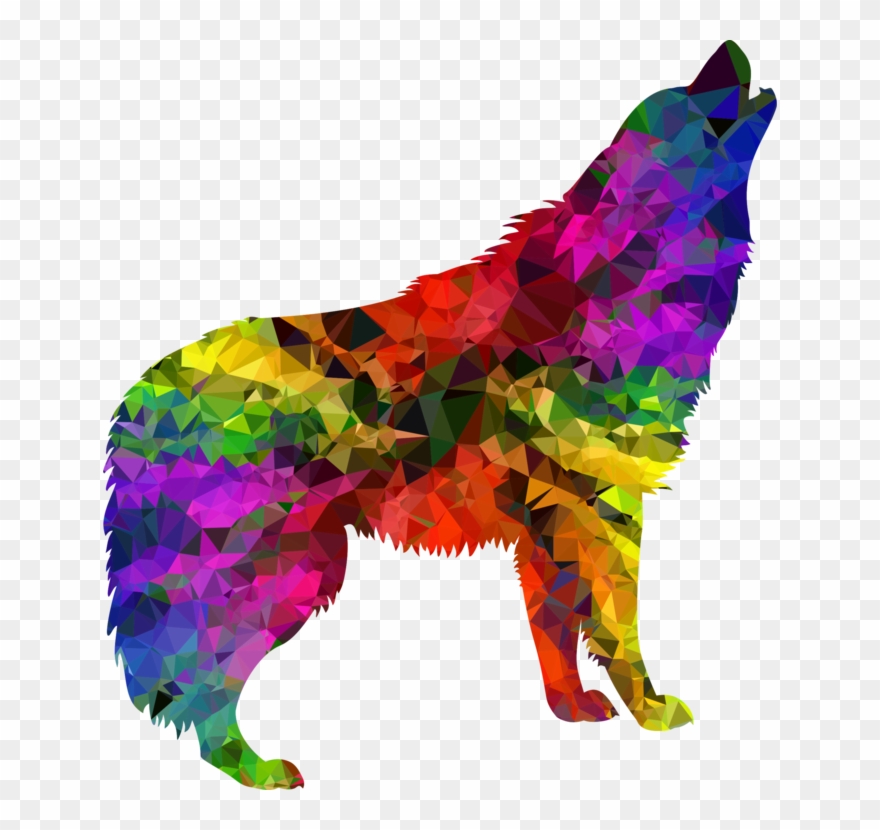 Gray Wolf Black Wolf Blanket Thompson Park Zoo And - Colourful Wolf Clipart - Png Download
