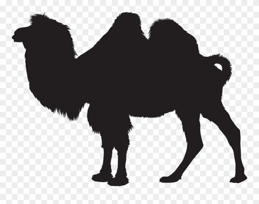 Camel Silhouette Clipart
