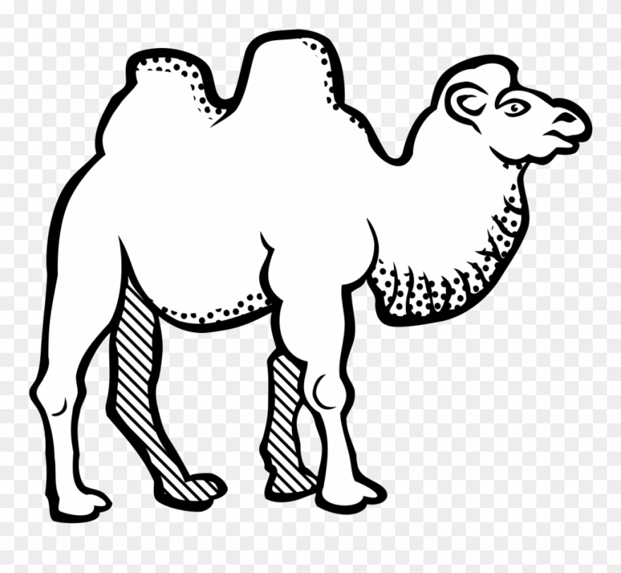 Bactrian Camel Line Art Drawing Black And White Coloring - Arabic Letters For Colouring Clipart