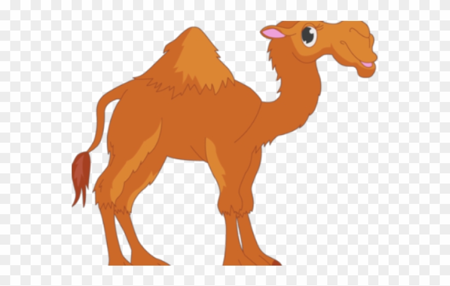 Camel Clipart Yellow - Arabian Camel - Png Download