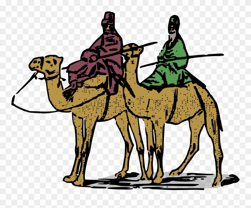 Dromedary Bactrian Camel Equestrian Computer Icons - Camel Transport Clipart - Png Download