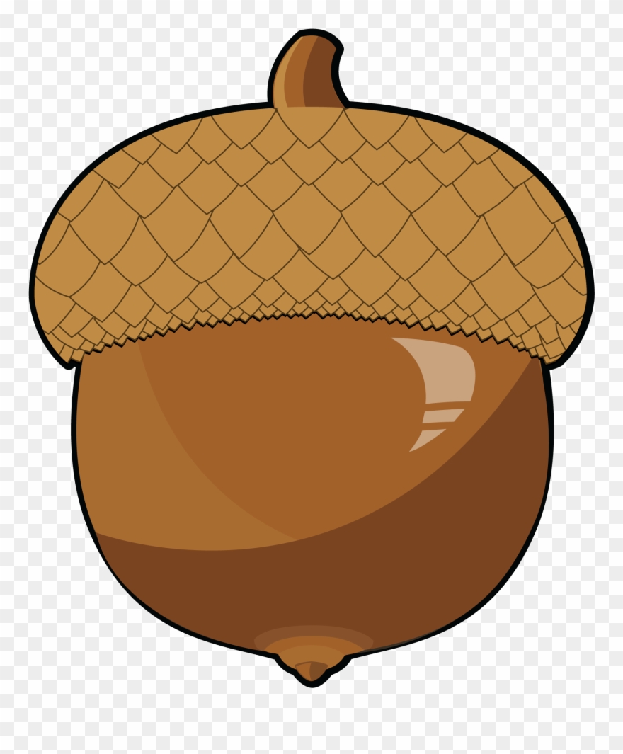 Acorn Clipart Food - Clipart Acorn - Png Download