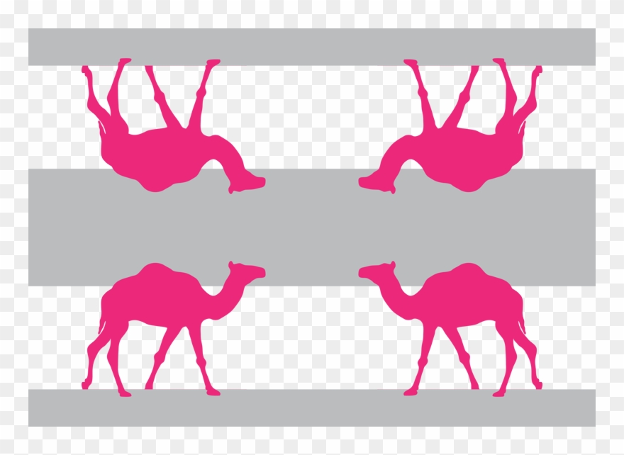 Camel Clipart Pink - Pink Camel - Png Download