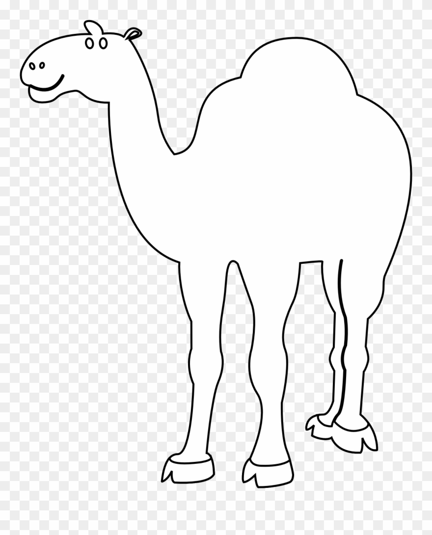 Camel Clipart Coloring - White Camel Black Background - Png Download