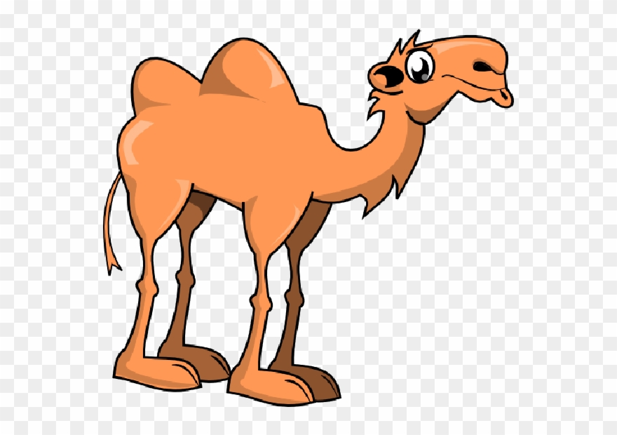 Cute Camel Clipart Funny Pictures - Cute Cartoon Camel - Png Download