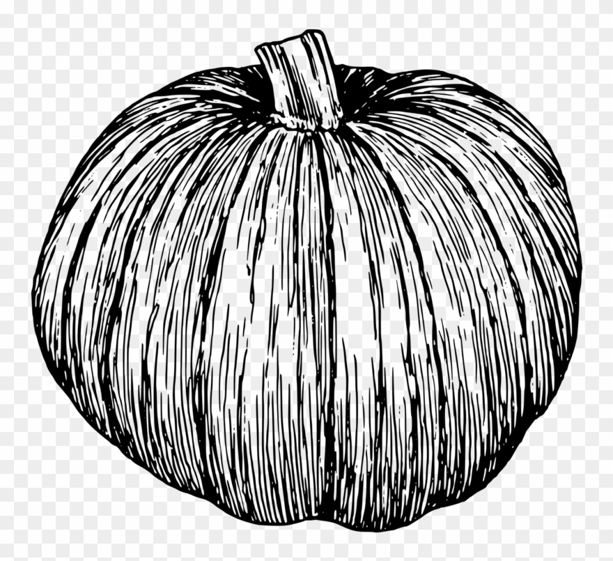 Pumpkin Pie Drawing Line Art Jack O' Lantern - Black And White Pumpkin Drawing Clipart
