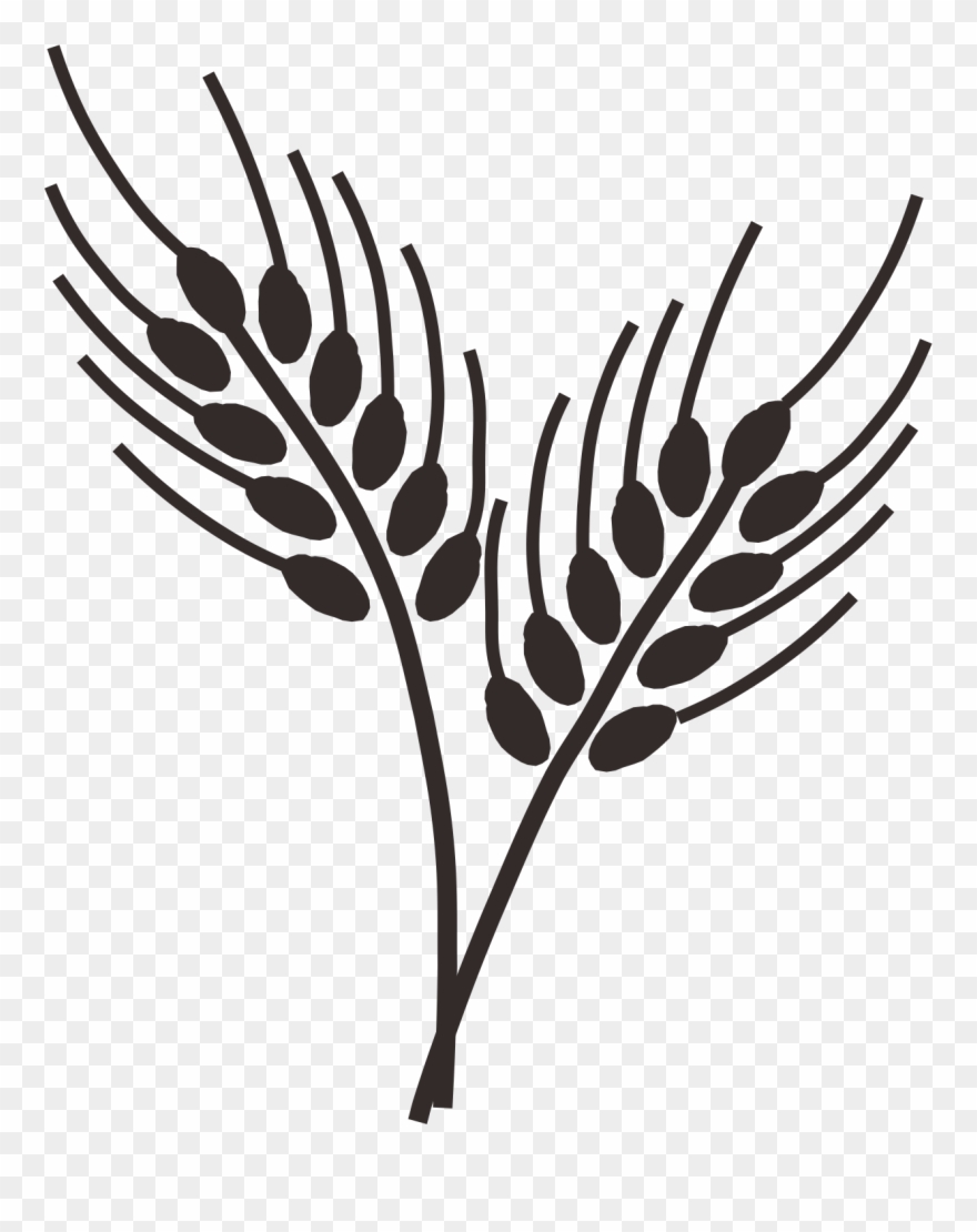 Image Freeuse Download Wheatgrass Ear Clip Art - Trigo Figura - Png Download