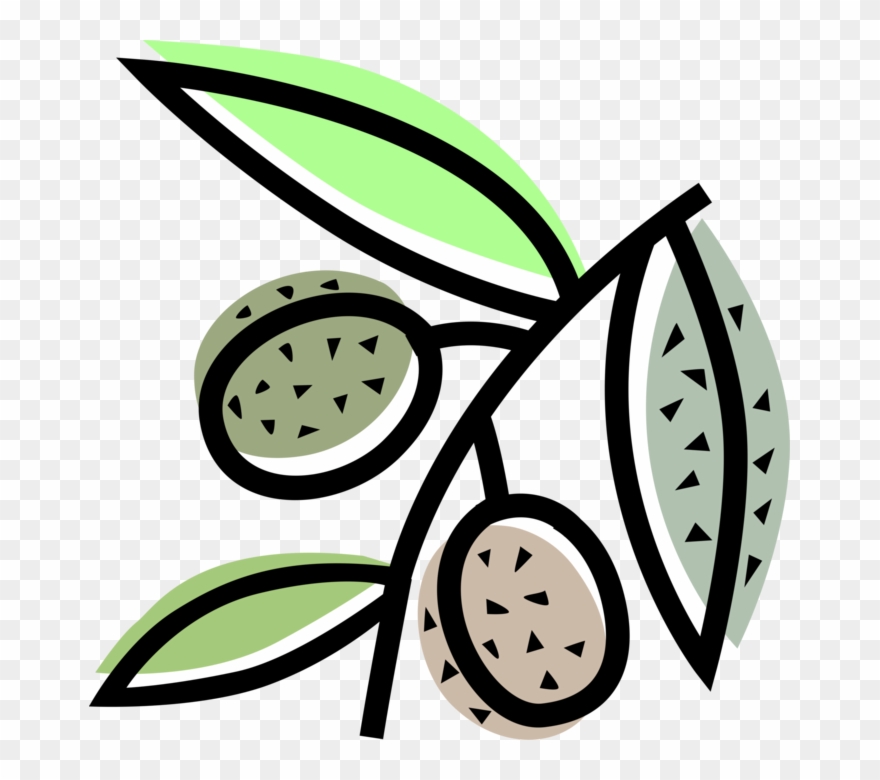 Vector Illustration Of Mediterranean Olives Agricultural Clipart