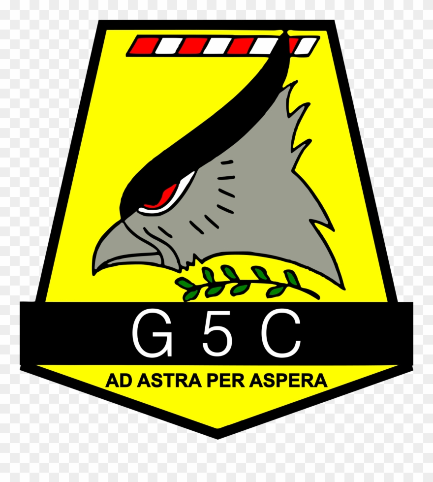 Fuerza Aérea Argentina Clipart