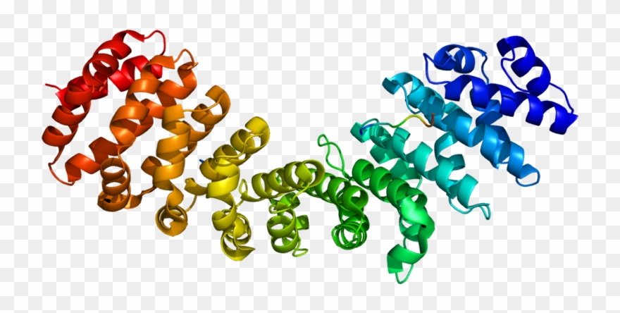 Cousin Clip Art - Png Download