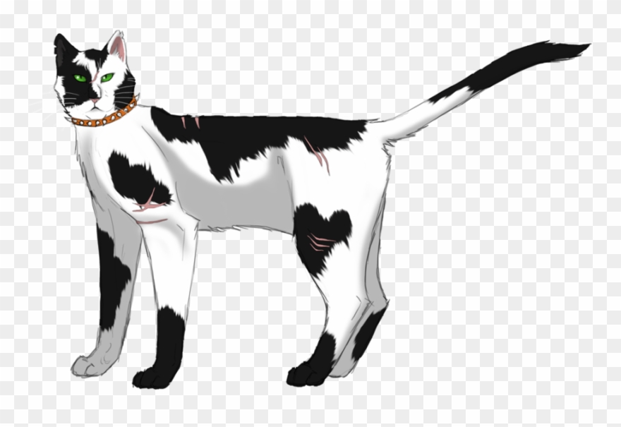 Bone Clipart