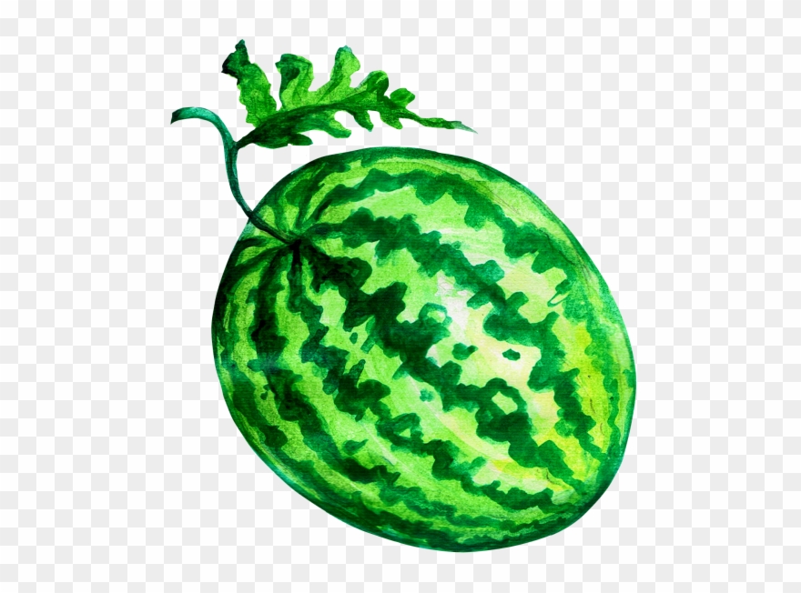 Watermelon Clipart