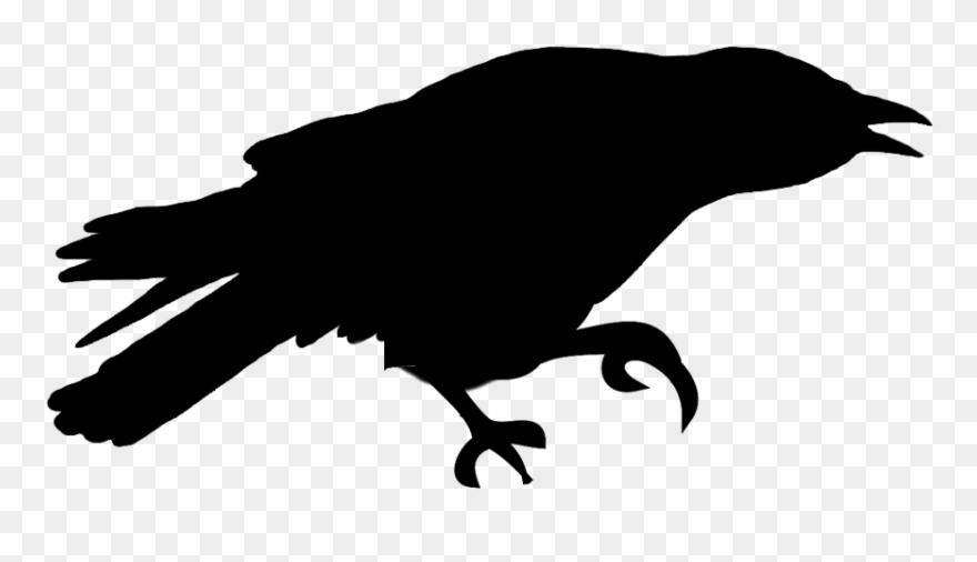 Free Png Download Sitting Bird Silhouette Png Images Clipart