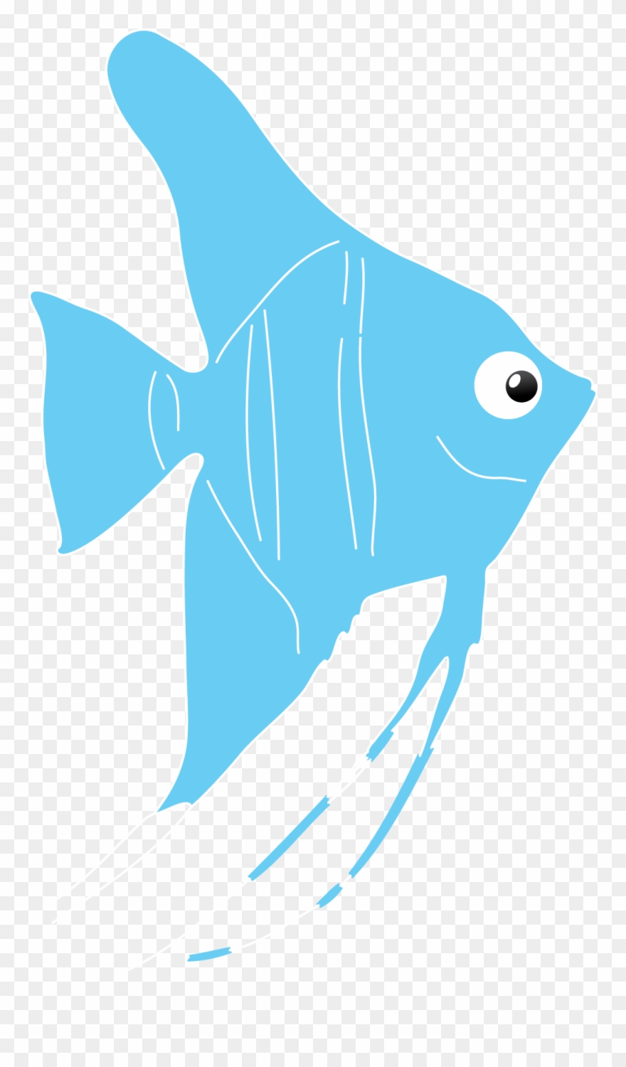 The Super-attractive, Elegant Angelfish Are Perhaps Clipart