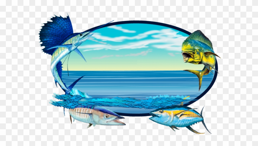 Sailfish Clipart Wahoo - Png Download