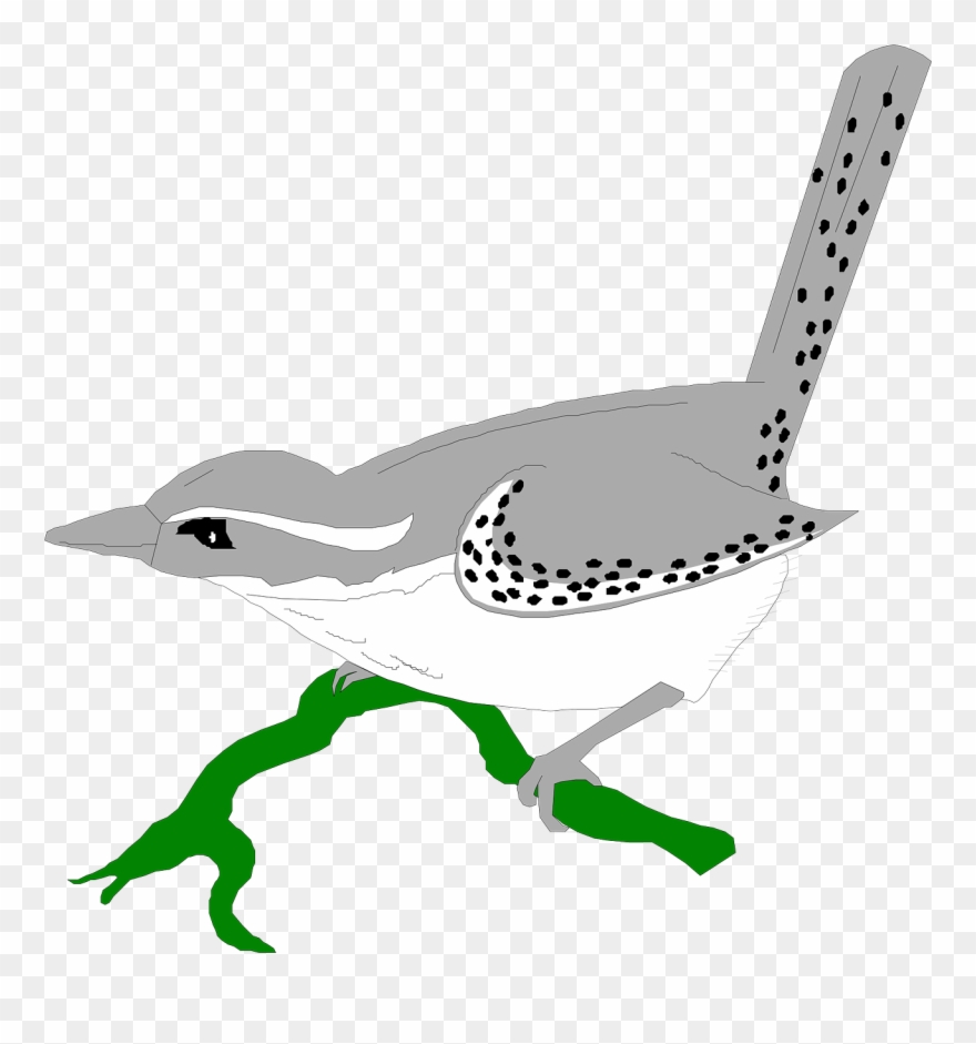 Bird Animal Wren Clipart