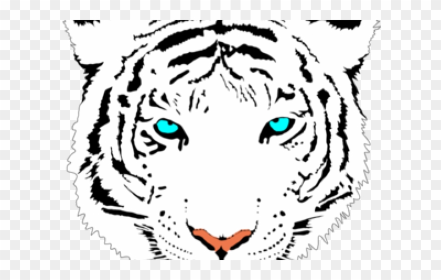 White Tiger Clipart Real Tiger - Png Download