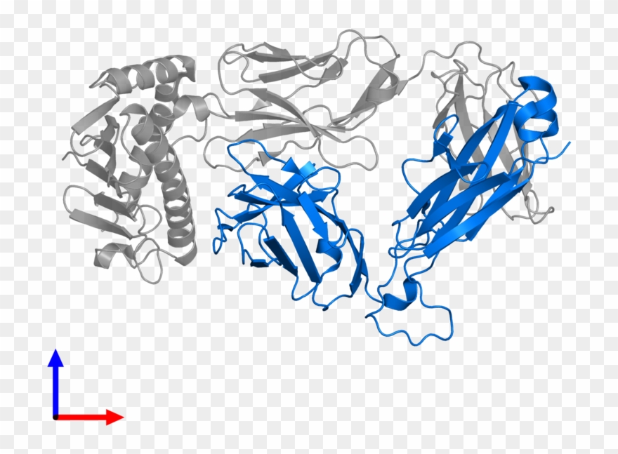 <div Class='caption-body'>pdb Entry 4nhu Contains 1 Clipart