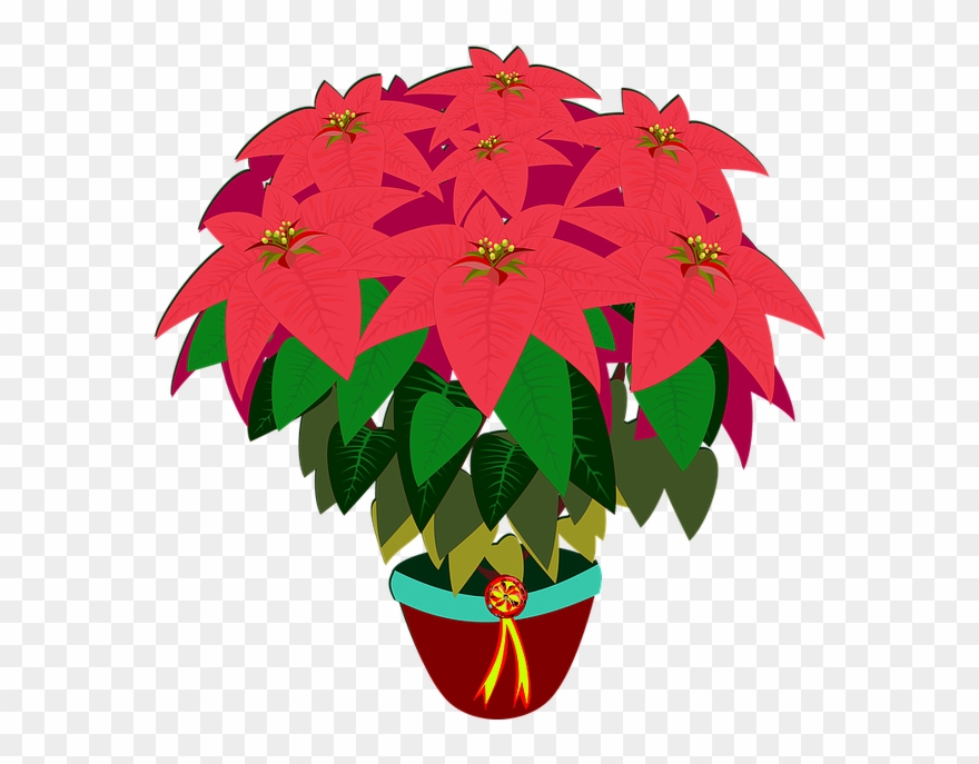 Free Photo Flora Flower Flor Nature Bico De Papagaio Clipart