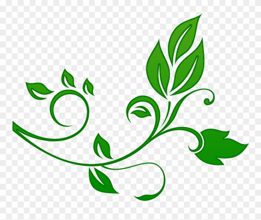 Floral Png Download Image Clipart