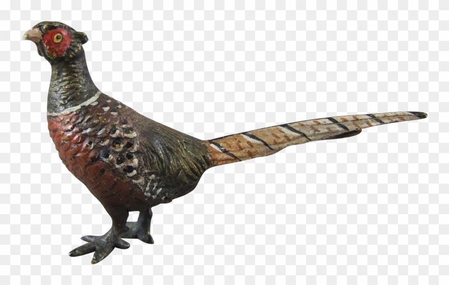Pheasant Transparent Background Clipart