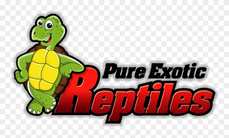 Still Have Questions We Are Here To Answer Clipart