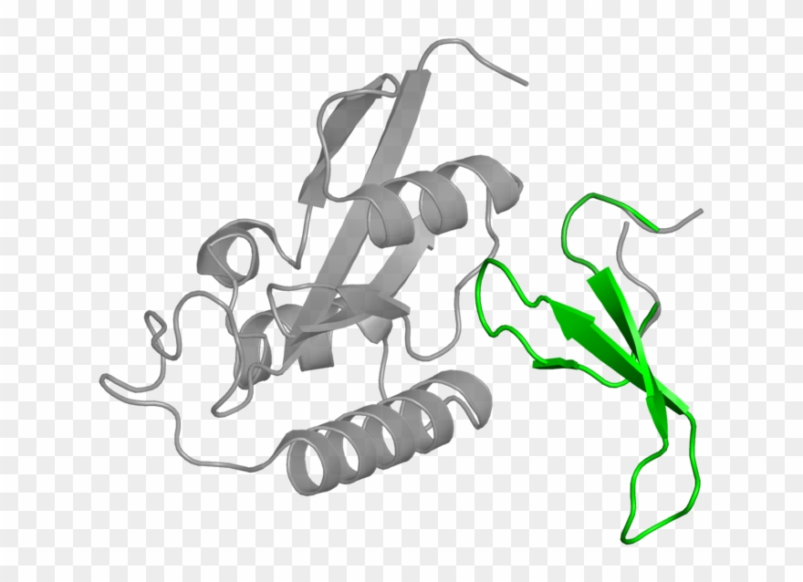 <div Class='caption-body'>1 Copy Of Pfam Domain Clipart