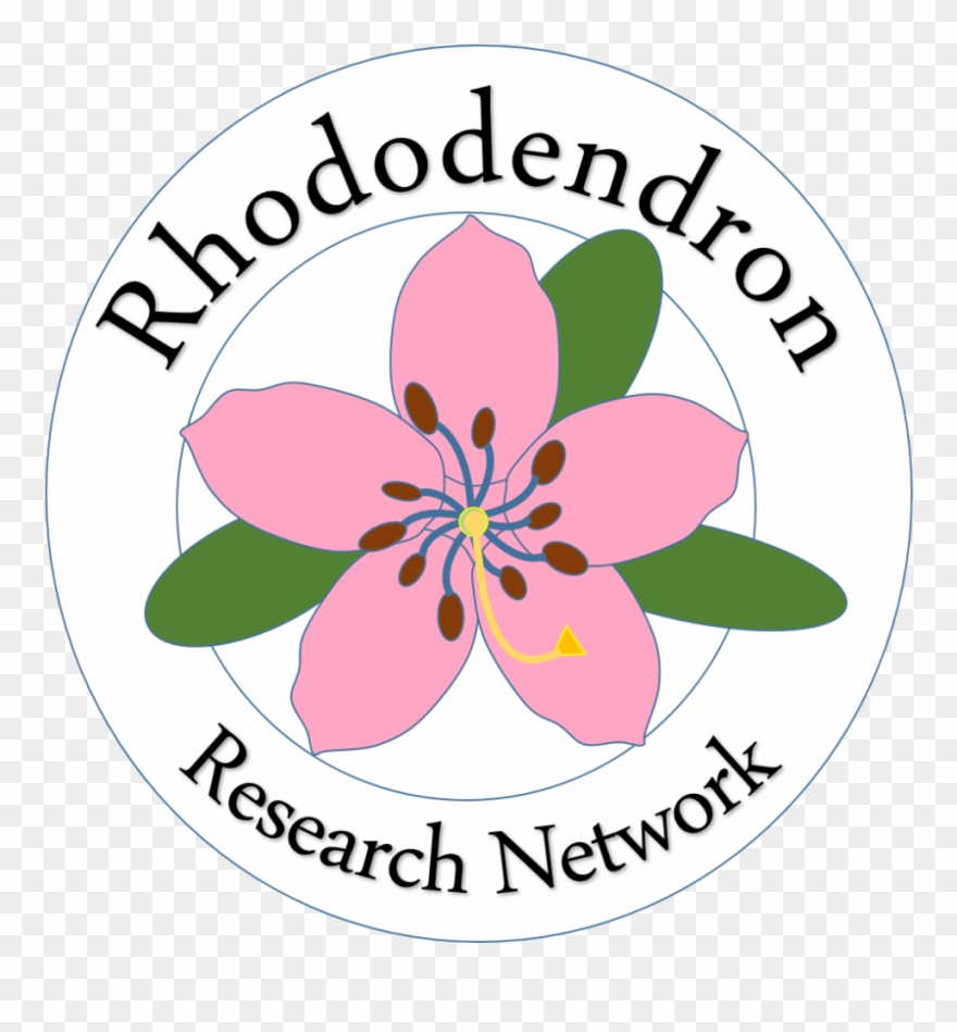 Create Opportunities For Communication And Collaboration Clipart