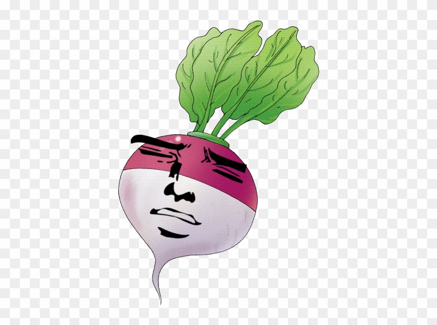 Your Average Turnip, Whom Appears To Seem Very Pleased Clipart