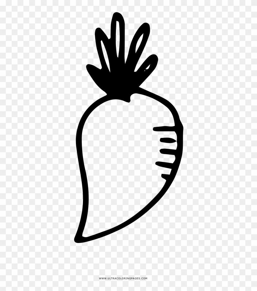 Turnip Coloring Page Clipart