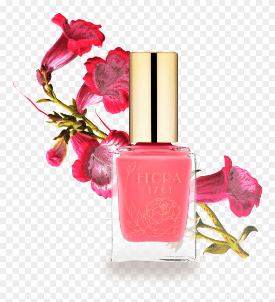 Nail Lacquer In Bougainvillea Clipart