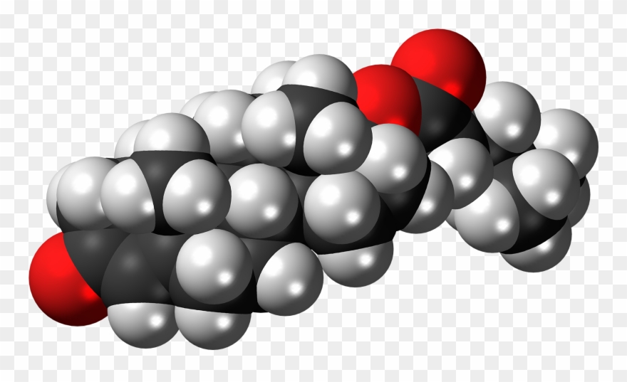 Testosterone Isocaproate Molecule Spacefill Clipart