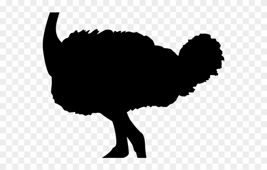 Emu Clipart Ostrich - Png Download