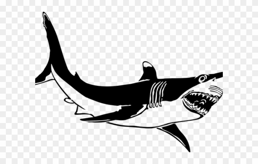 Great White Shark Clipart Public Domain - Png Download
