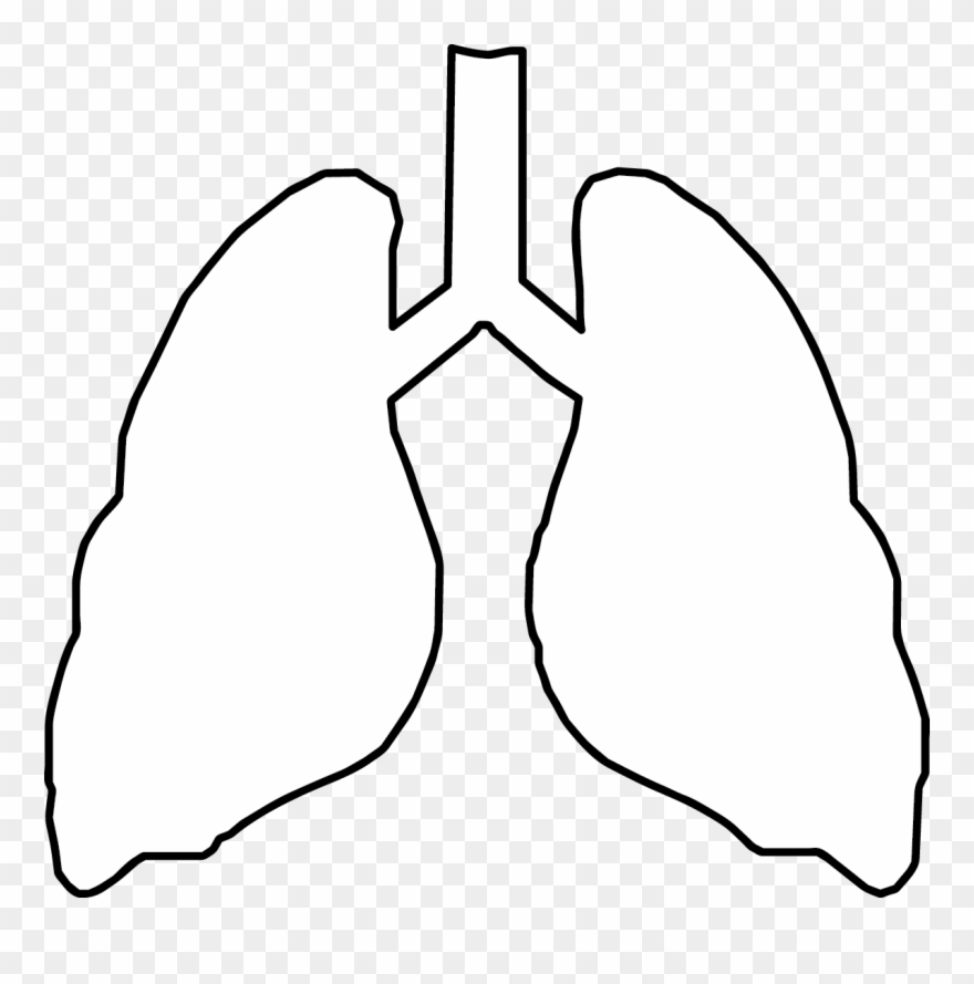 Statistics Survey Project Clipart