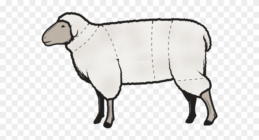 Butchering Cutting Instructions Clipart