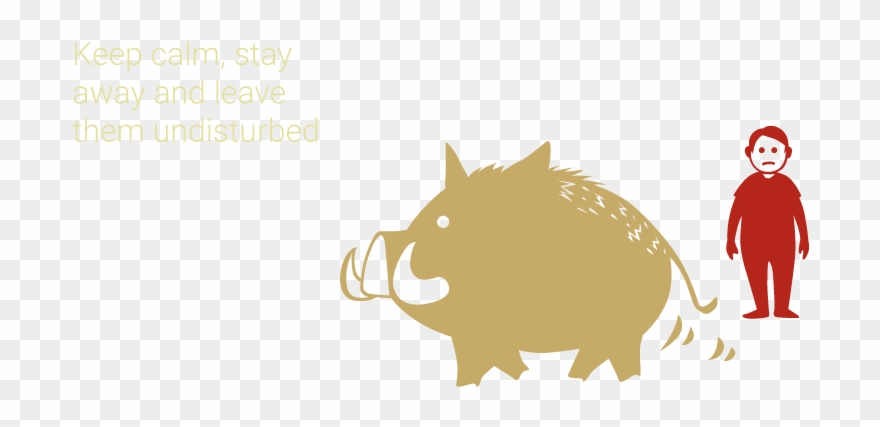 When You Meet A Wild Boar Clipart