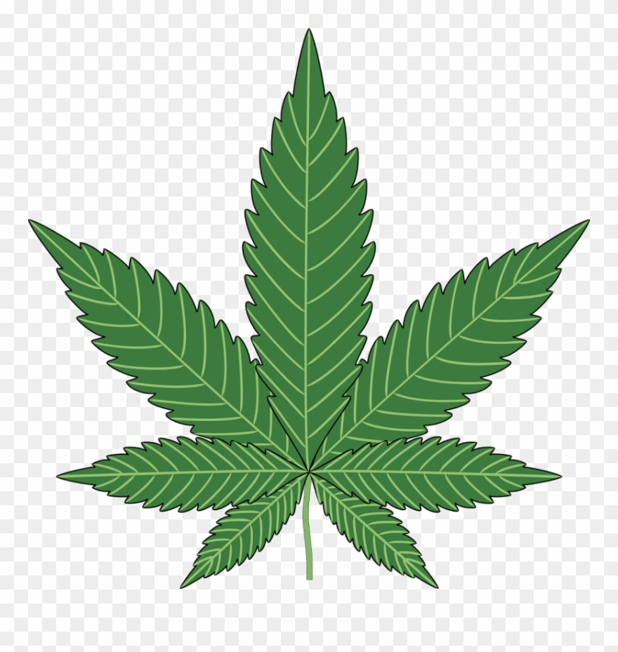 Free Png Download Cannabis Clipart Png Photo Png Images Transparent Png