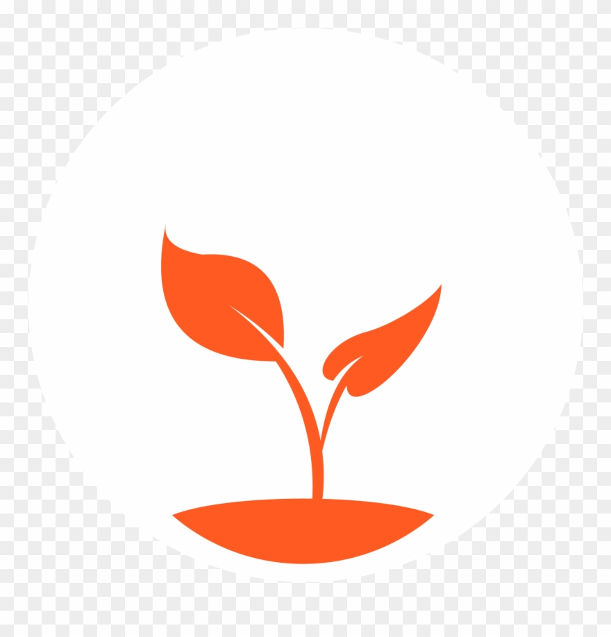 Introduction To Cannabis Clipart
