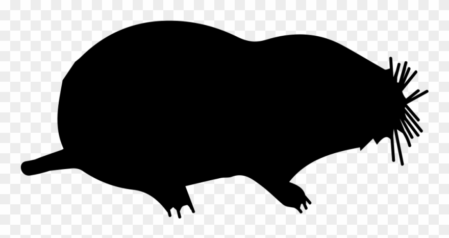 Mole Mammal Animal Shape Comments Clipart