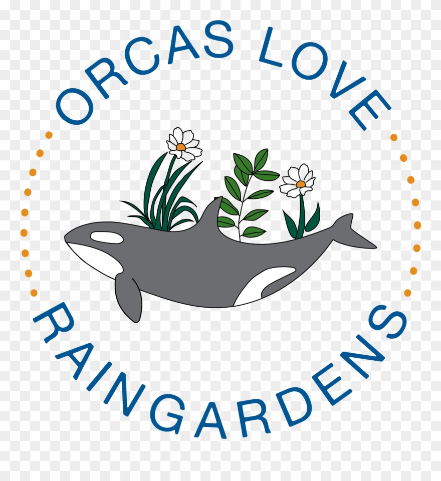 Our Vision Is That All Tacoma Public Schools Students Clipart