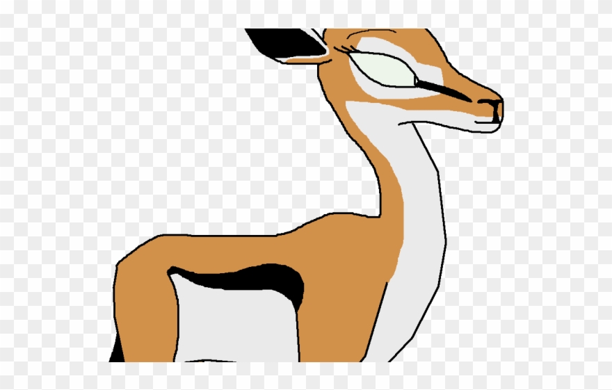 Gazelle Clipart Springbok - Png Download