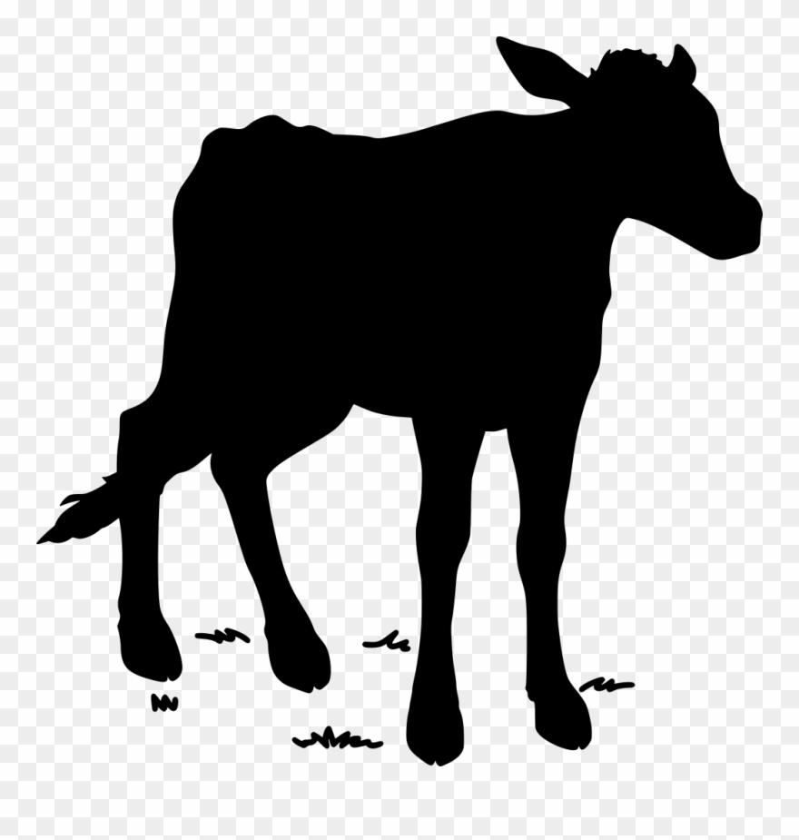 Info Clipart
