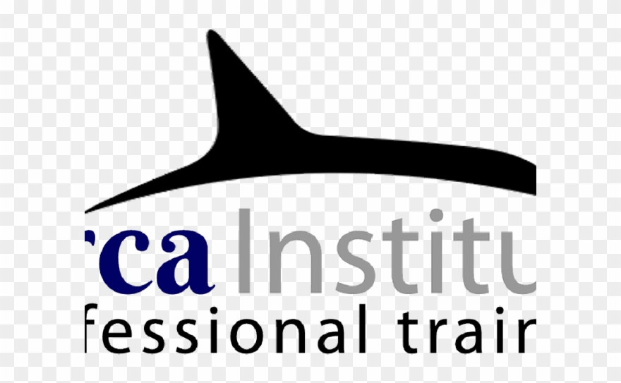 Orca Clipart Simple - Png Download