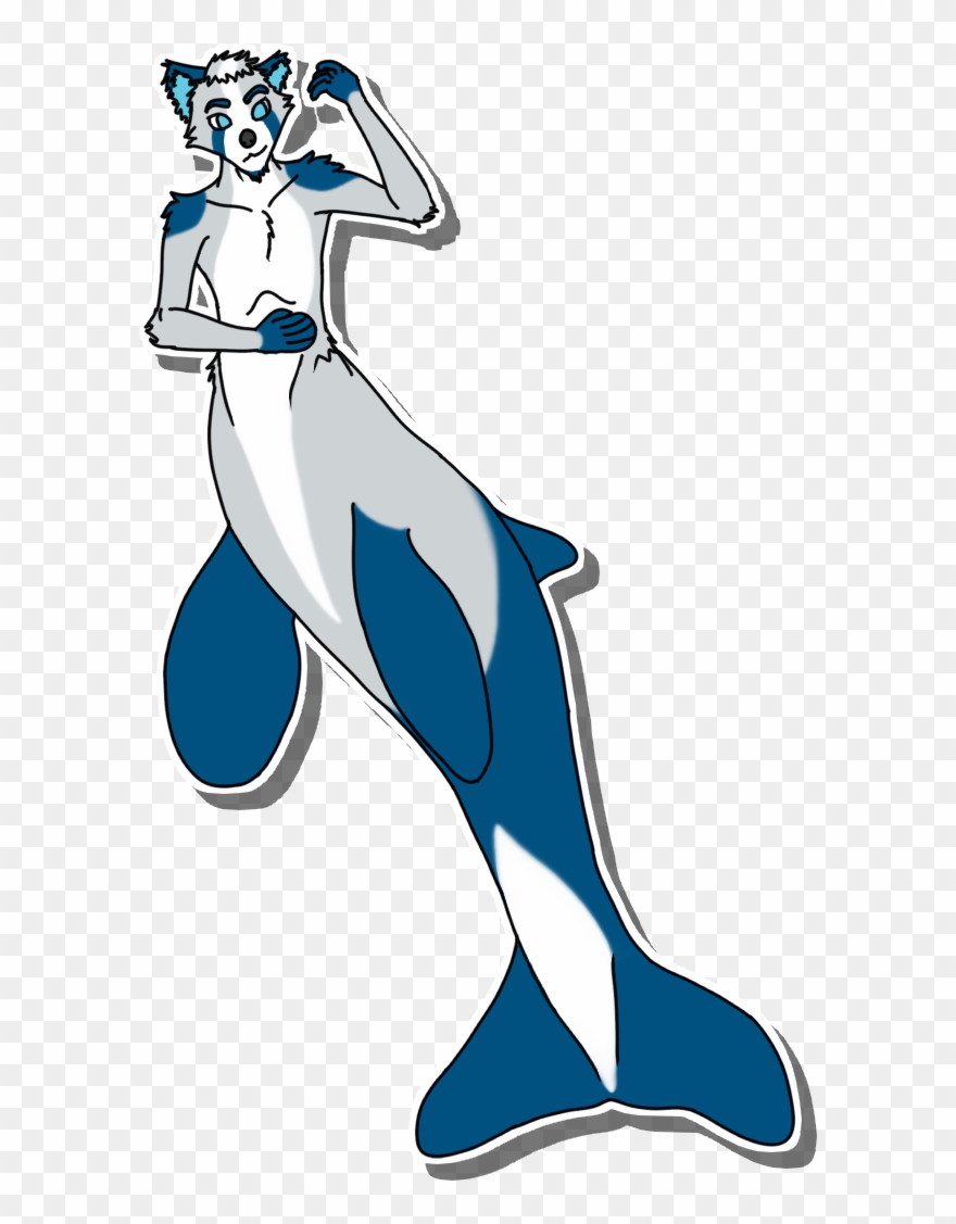 Hayaikawa Orca Clipart