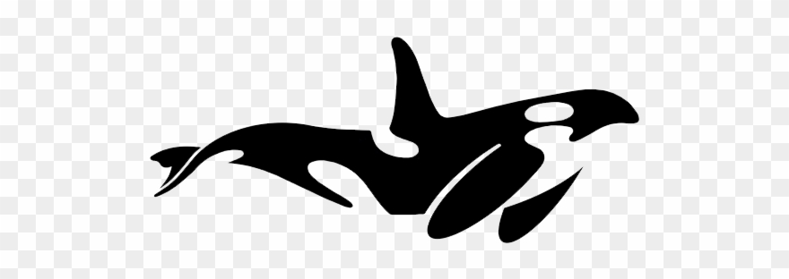 Orca Clipart