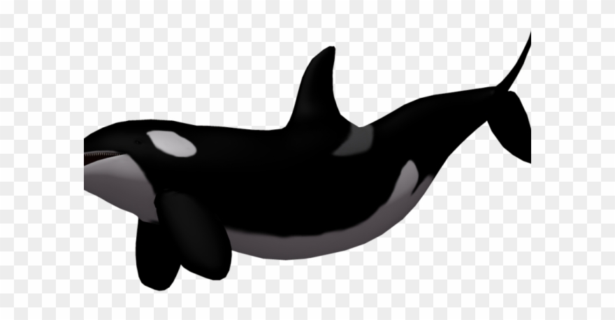 Killer Whale Clipart Whale Dolphin - Png Download