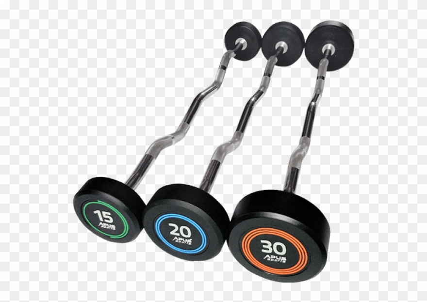 Curl Barbells Clipart