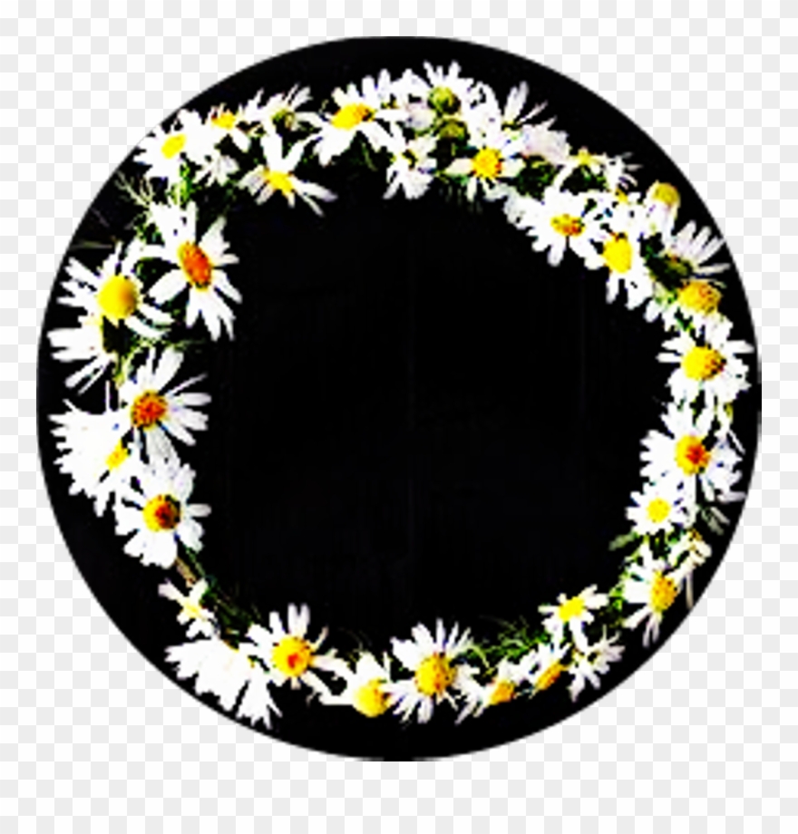 Corona De Margaritas Frases Todaypic Clipart